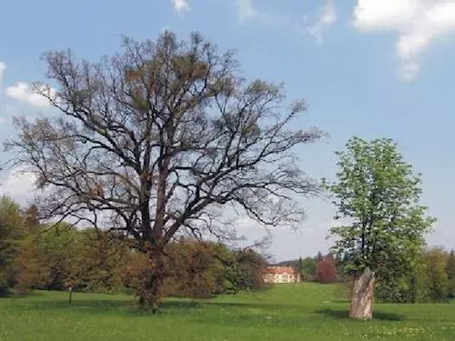 Heřmanův Měštec – zámek a rozlehlý lesopark