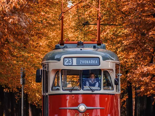 Tramvaj T2 na podzim 