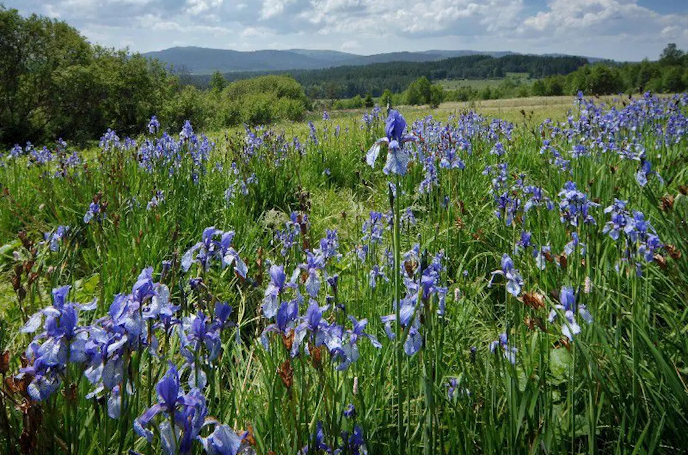 Dostupná Šumava – celodenní autobusové zájezdy s průvodcem pro seniory a osoby se sníženou mobilitou