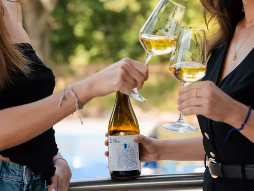 Vinobraní v přístavu – víno, hudba a zábava u Baťova kanálu