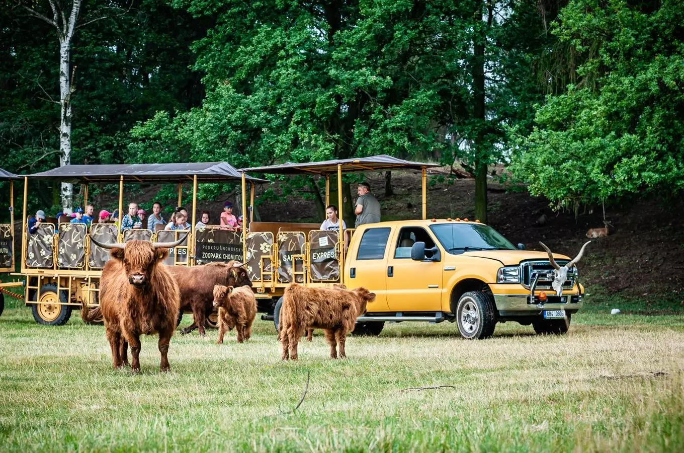 Zoopark Chomutov zve do konce letní sezóny na projížďky Safari expresem