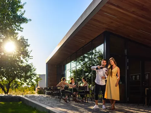 Za vínem na krásná místa: moderní architektura zasazená uprostřed vinic, kde najdete kvalitní víno
