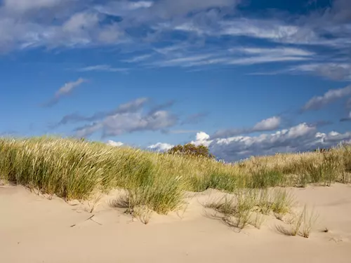 10 tipů, kam se u nás vydat za písečnými dunami