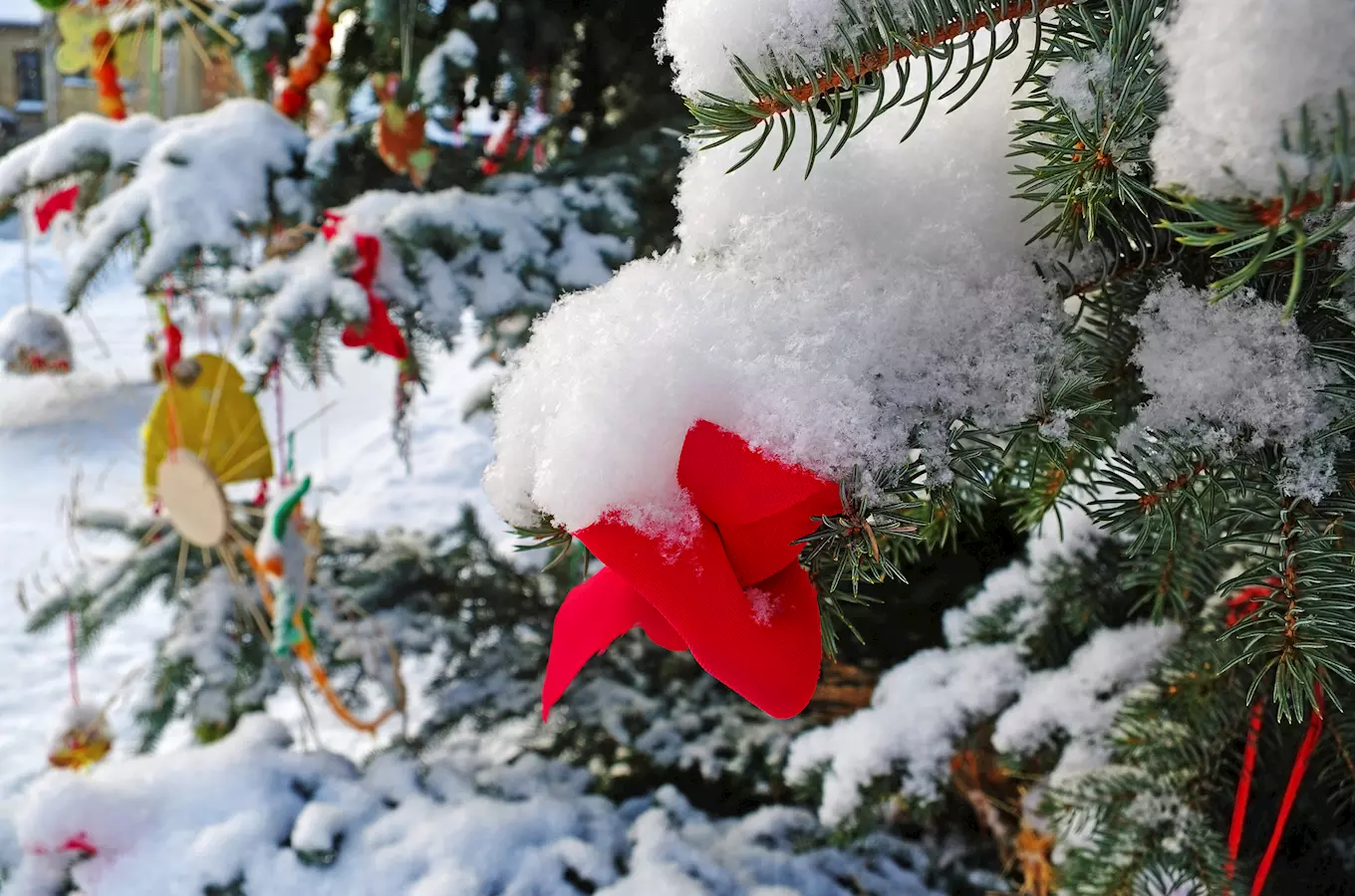 Rýmařovský advent 2024