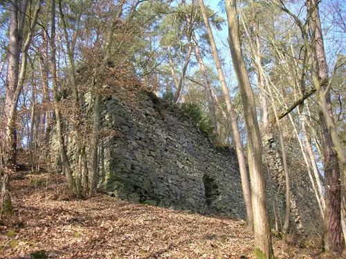 Zřícenina hradu Kozí hřbet 