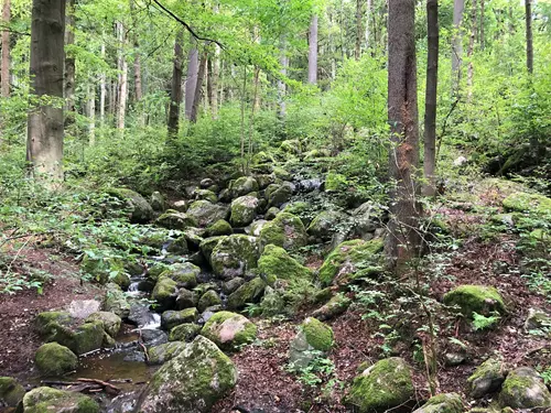 Naučná stezka Geologický park v Mariánských Lázních