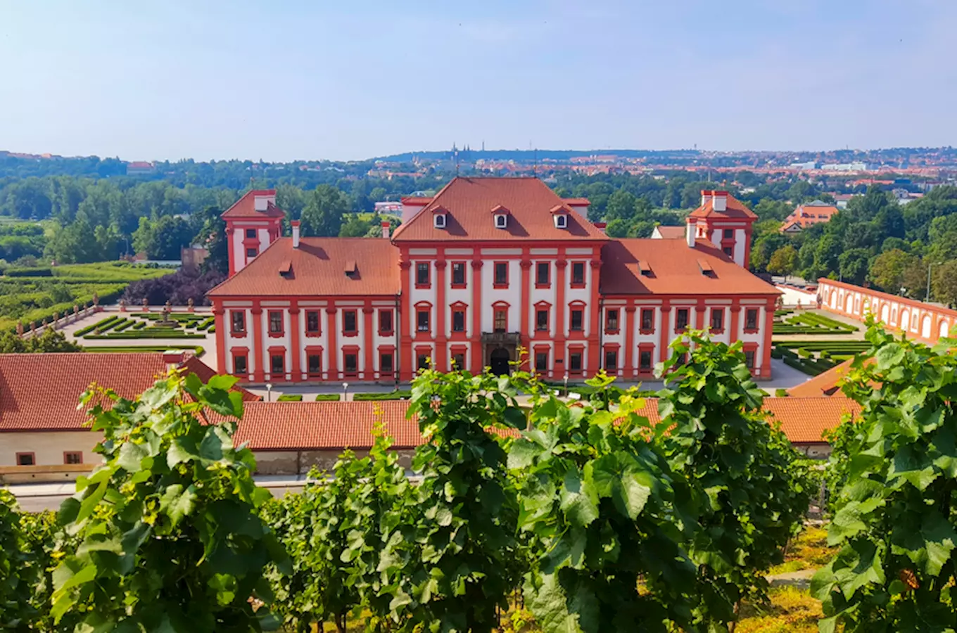 10 tipů na vinobraní v Praze a okolí, kde nemůžete chybět