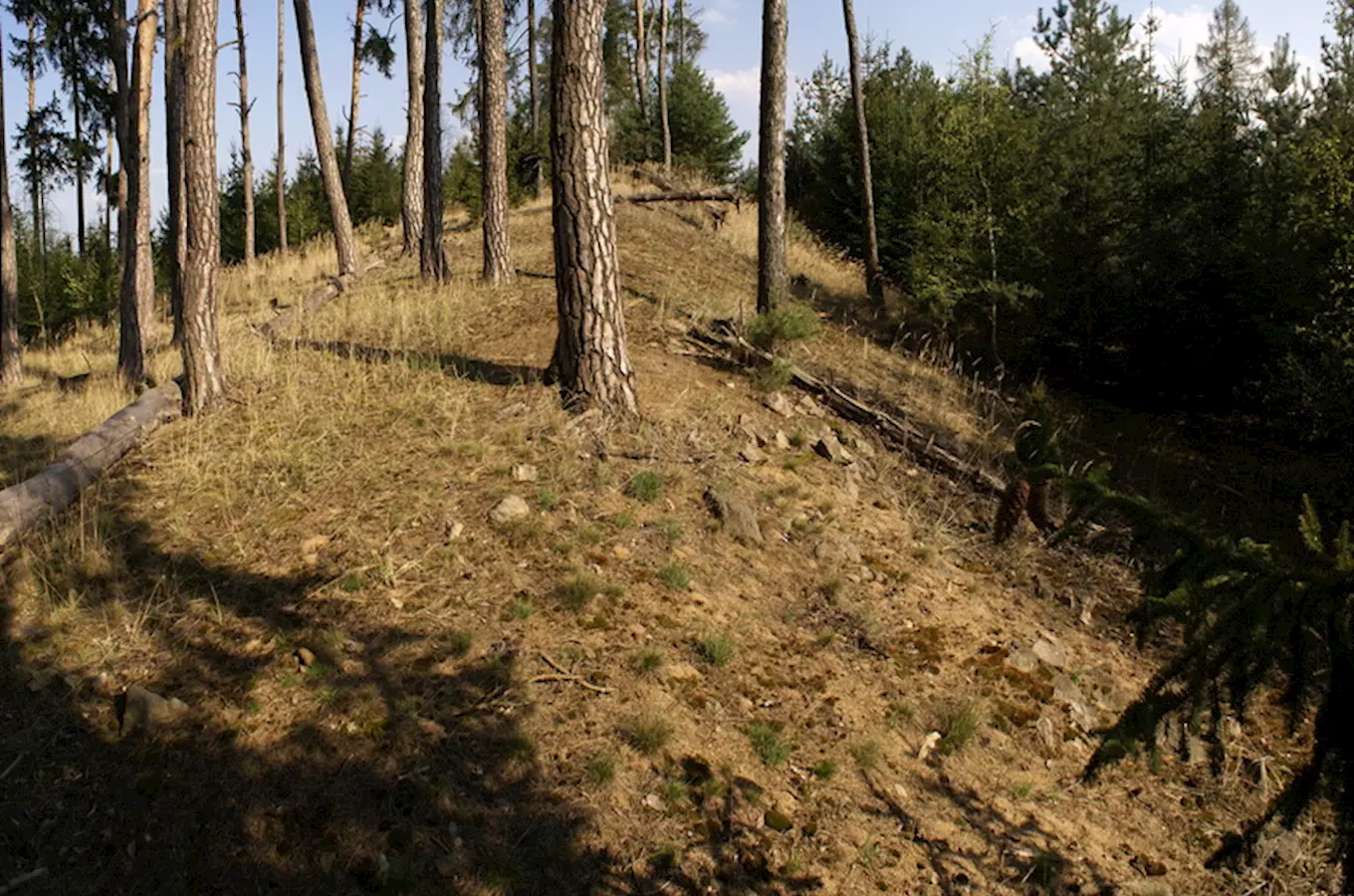 Hradiště Vystrkov u přehrady Orlík