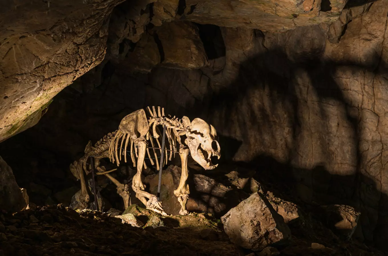 Věda a historie není nuda: kde si prohlédnete nejstarší a nejvzácnější archeologické nálezy