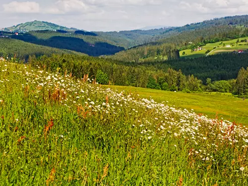 Beskydy a Javorníky, Kudy z nudy