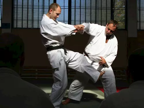 Aikido - dospelí