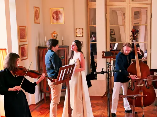 Viennese Tuning Times