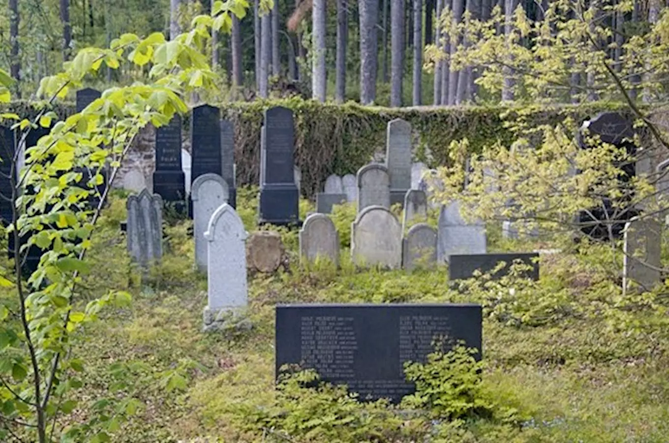 Židovský hřbitov ve Velharticích
