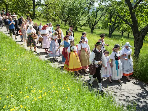 Folklórní soubor Horačky 