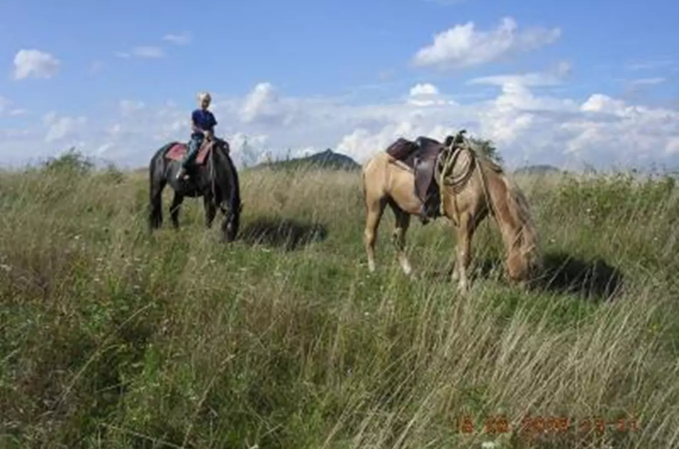 Katty´s Ranch – vyjížďky na koních v Podkrkonoší