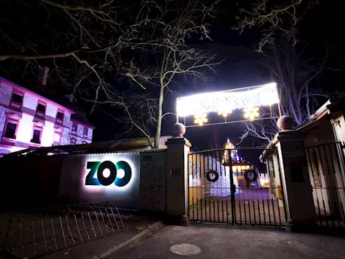 vánocní nasvícení zoo