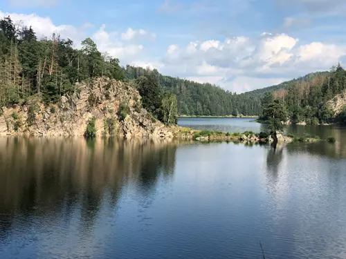 Strážkyně zatopeného údolí – borovice v zaniklé vsi Chudobín