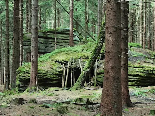 Vrch Šelmberk s žulovými balvany v Českém lese 