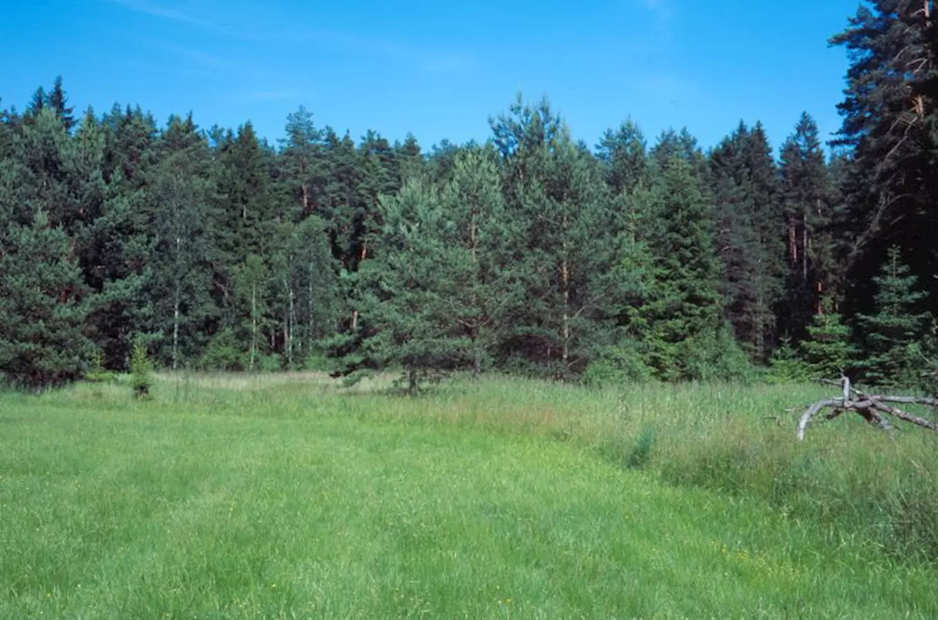 Přírodní park Turovecký les