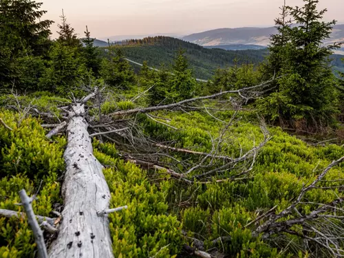 Visutý most přes údolí na Dolní Moravě – Sky Bridge 721, Kudy z nudy