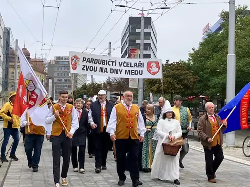 Průvod včelařů městem