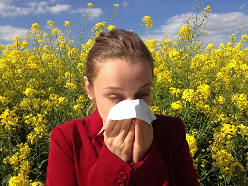 Přednáška o alergiích
