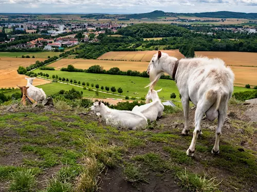 Vrch Zebín u Jičína