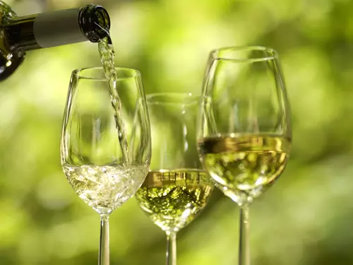 Festival Riesling Rocks 2026