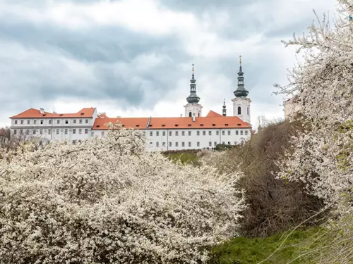 Církevní řády: toulky po stopách premonstrátů