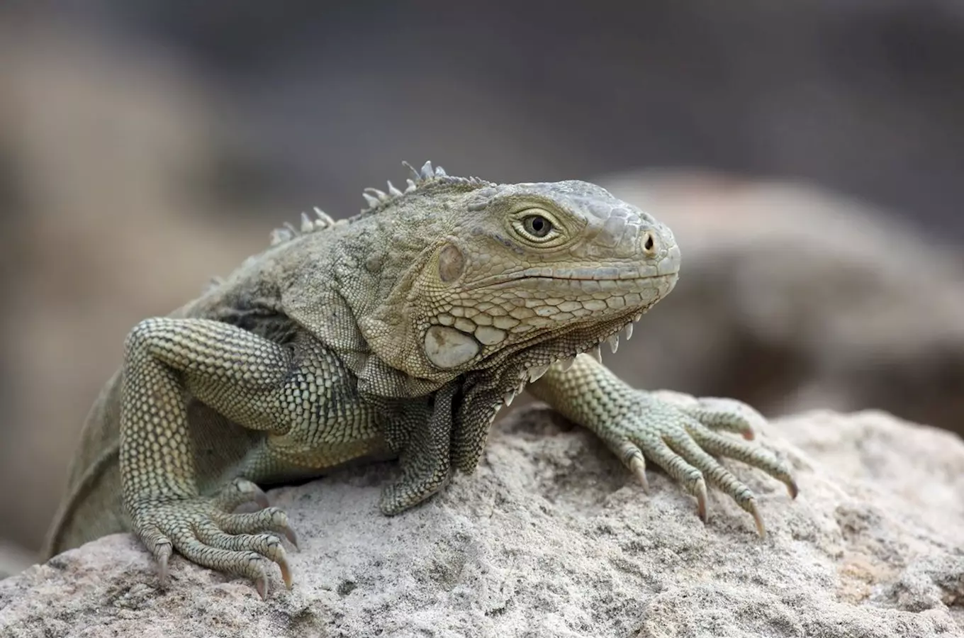 Poznejte zákulisí zoologické zahrady – zážitkový program v Safari Parku ve Dvoře Králové nad Labem