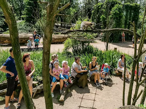 Přijďte do Zoo Praha s vysvědčením nebo o víkendu