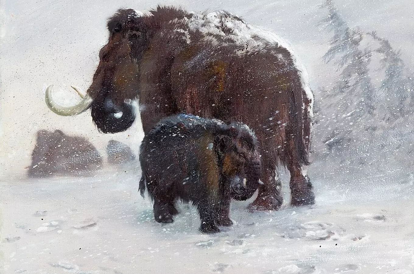 Výstava Když Brnem táhli mamuti – Galerie Zdeňka Buriana v Pavilonu Anthropos