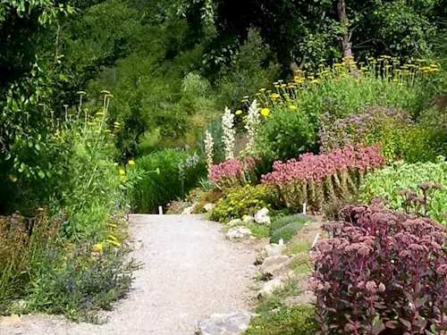 Arboretum Šmelcovna, Kudy z nudy