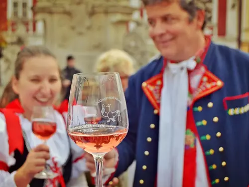 Už jen jeden měsíc zbývá do otevření prvních Svatomartinských vín!
