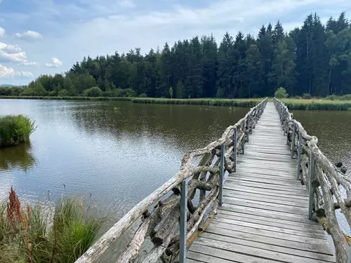 Olšina nature trail - a trail in the Boletice bird area