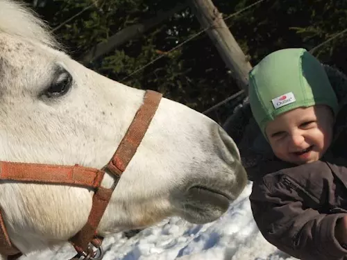 Jezdecká škola Amír – koně pro děti