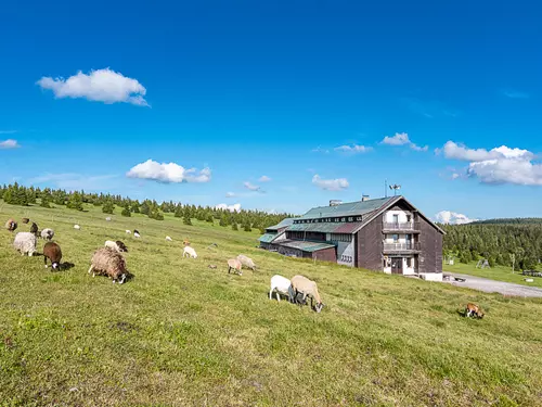Dvorská bouda v Krkonoších