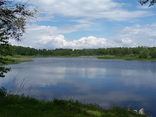 Přírodní rezervace Blanko u Nové Bystřice