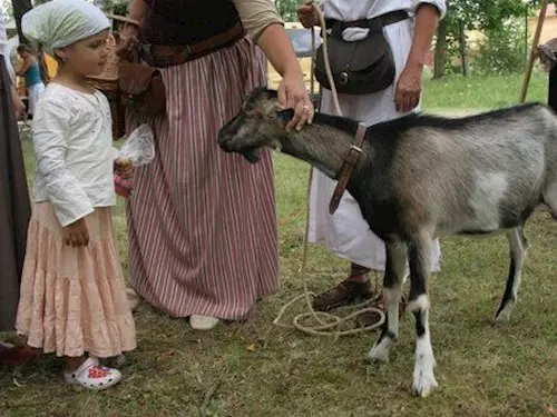 Remeslnický trh