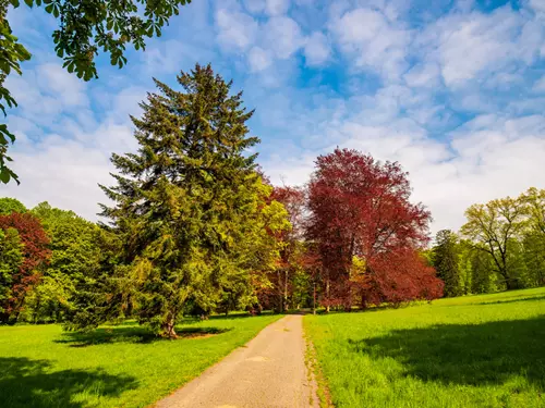 zámek konopiště, kudy z nudy, park