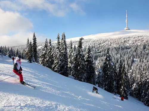 Lyžování v Jeseníkách: tipy z lyžařských areálů, kde si sjezdovky ještě užijete