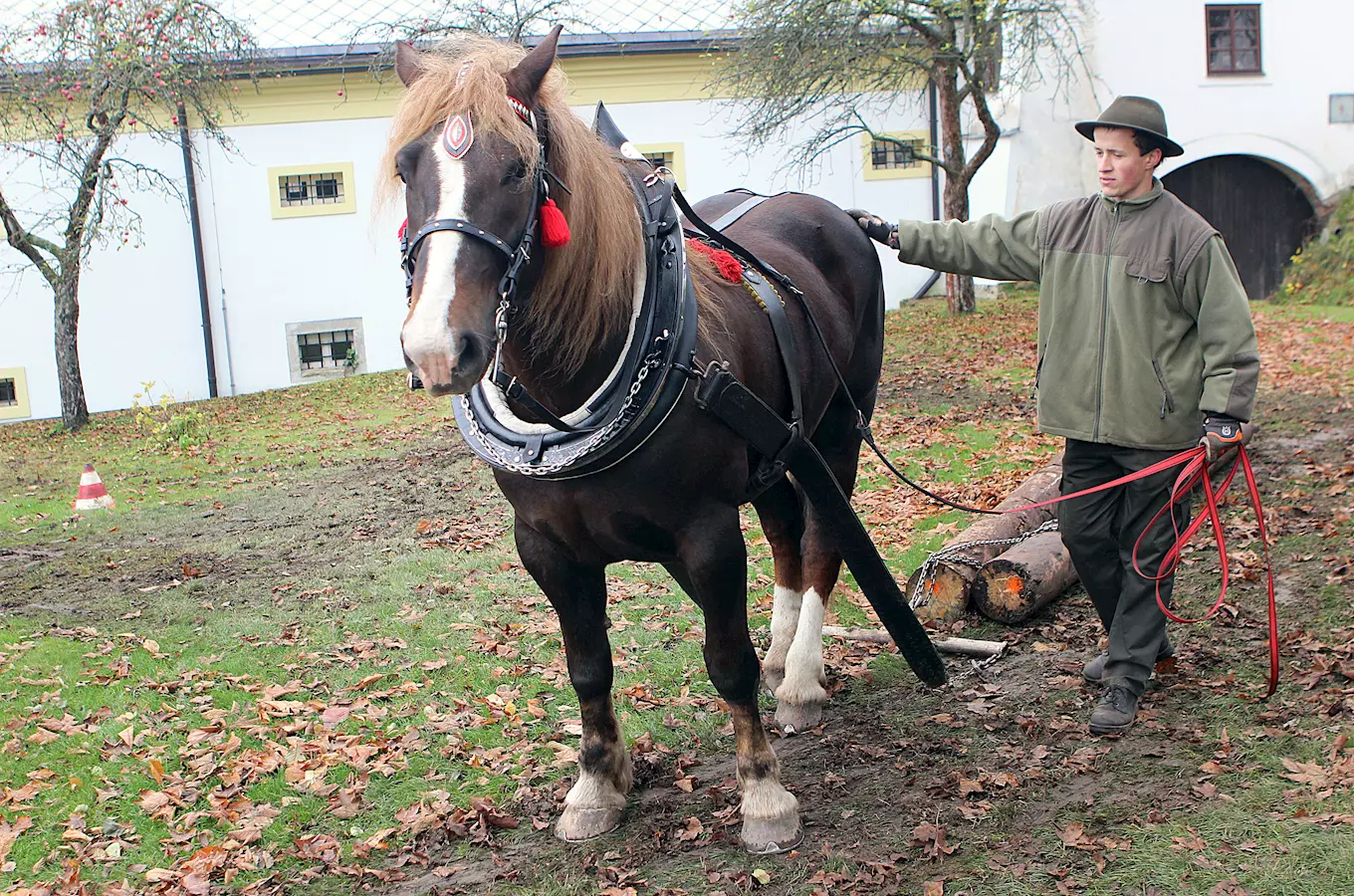 Den venkova na Zámku Žďár nad Sázavou