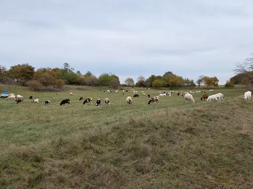 Naučná stezka Zlatý kůň v Českém krasu