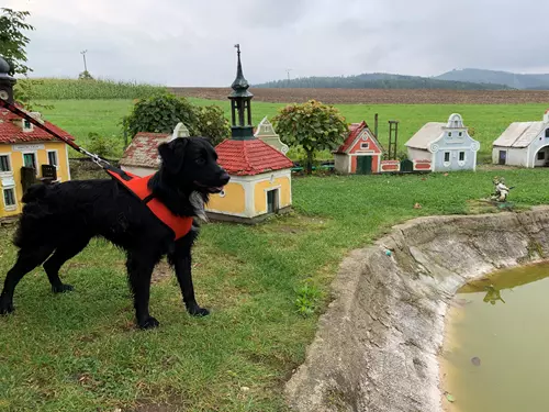 Dovolená se psem v Jižních Čechách