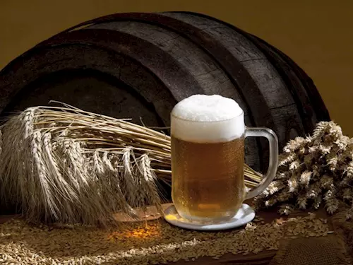 Na jižní Moravě se otevírá první muzeum pivovarnictví
