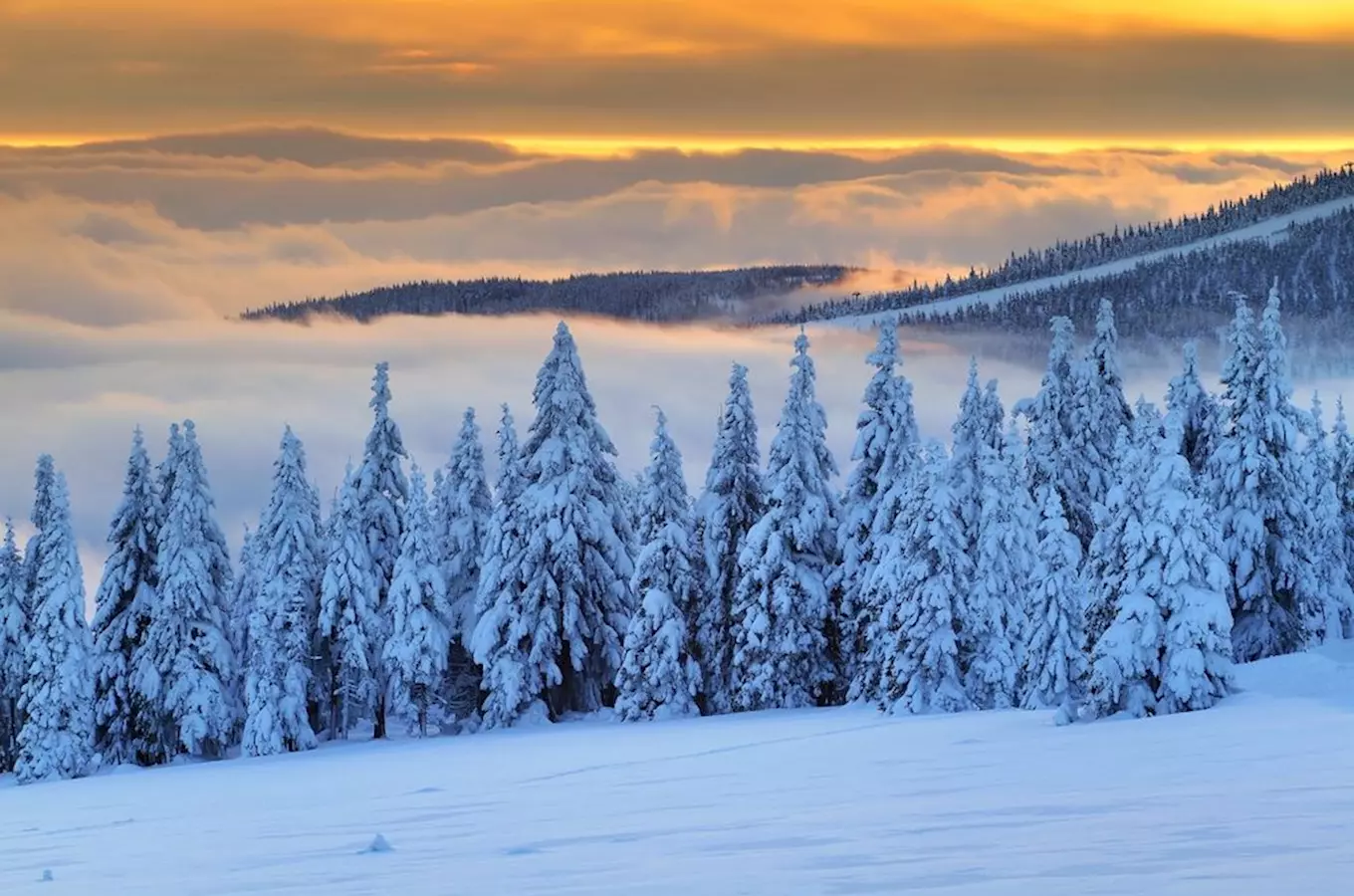 Užijte si zimní radovánky v Krkonoších, avšak s respektem k přírodě