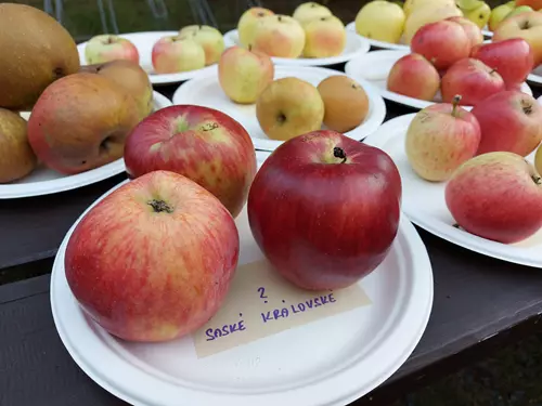 Svatohavelské slavnosti a Jablka vzpomínek v Geoparku Ralsko 2026