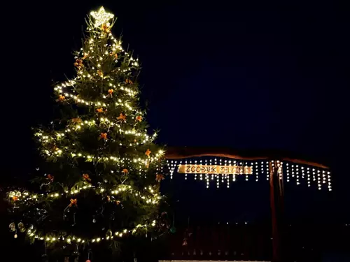 Rozsvícení vánočního stromku v Zelčíně