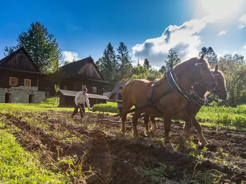 Skanzeny, lidová architektura, Kudy z nudy