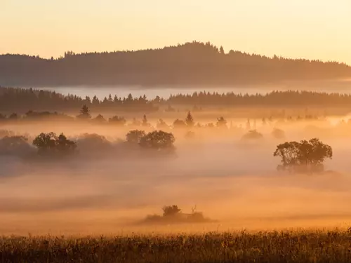 Šumava, Kudy z nudy, výlet do přírody